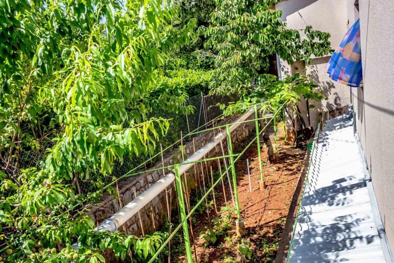 Apartment Gea Ičići Zewnętrze zdjęcie